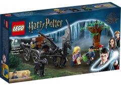 LEGO Harry Potter Zweinstein Rijtuig en Thestralissen