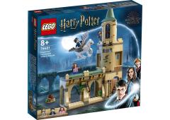 LEGO Harry Potter Zweinstein Binnenplaats: Sirius' redding